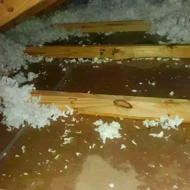 Attic Water Damage in Prosser, WA