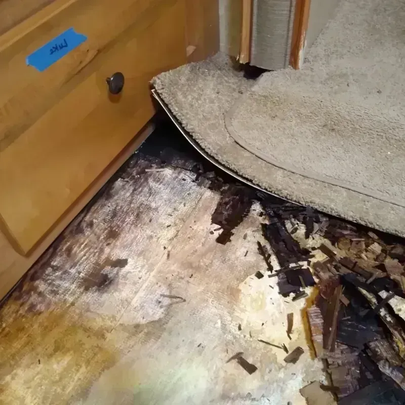 Best Wood Floor Water Damage Service in Prosser, WA